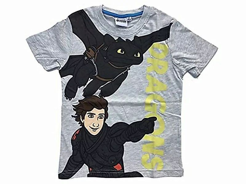 Dragons T-Shirt Dragons "Drachenzähmen leicht gemacht" T-Shirt günstig online kaufen