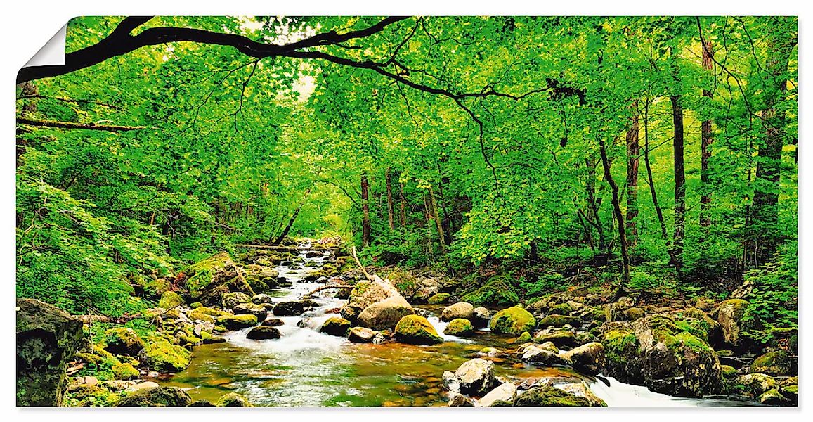 Artland Wandbild "Herbstwald Fluss Smolny" Wald 1 Stk. tlg. als Leinwandbil günstig online kaufen