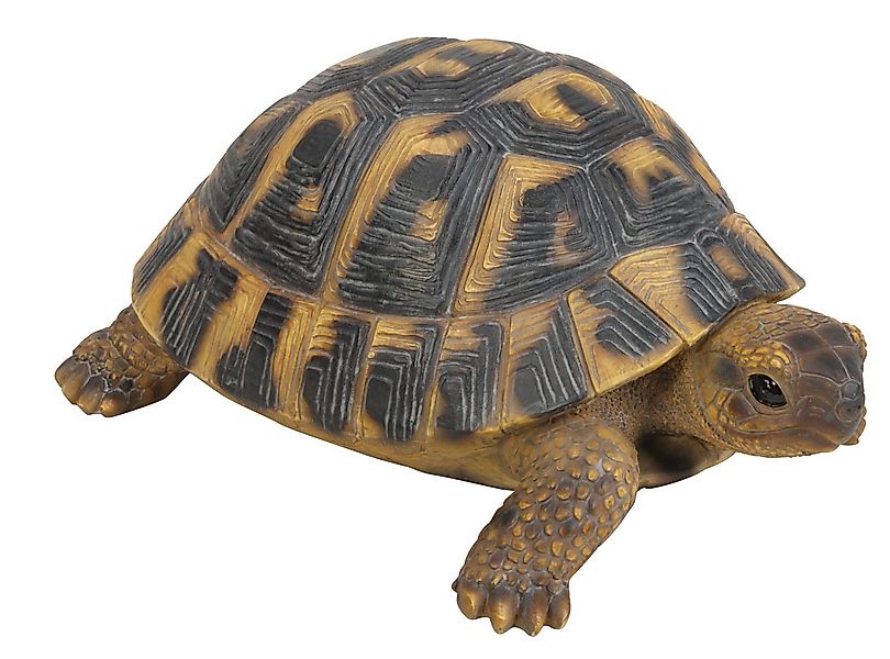 Dehner Gartenfigur Schildkröte, 7.7 x 17 x 11.7 cm, Polyresin günstig online kaufen