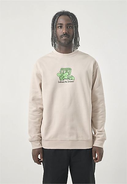 Cleptomanicx Strickpullover "Embrace Football", mit coolem Print vorne günstig online kaufen