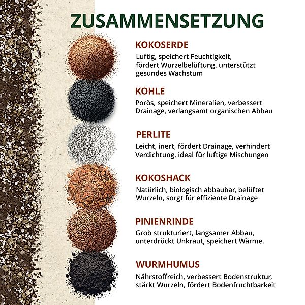 OraGarden Spezialerde Kakteen & Sukkulenten Erde, günstig online kaufen