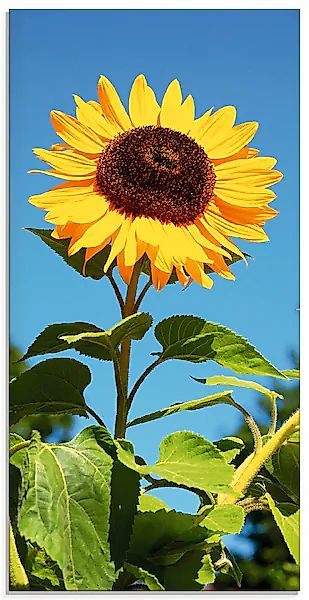 Artland Glasbild »Große Sonnenblume« 1 Stk. tlg. in verschiedenen Größen günstig online kaufen