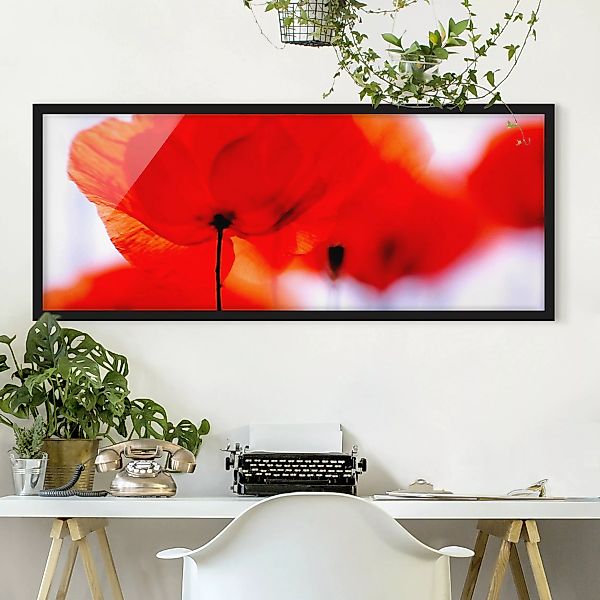 Bild mit Rahmen Blumen - Panorama Magic Poppies günstig online kaufen