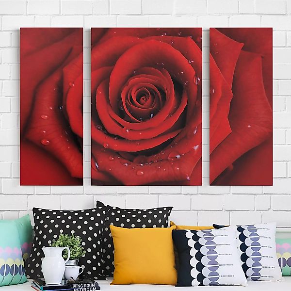 3-teiliges Leinwandbild Blumen - Querformat Rote Rose mit Wassertropfen günstig online kaufen