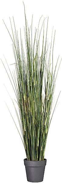 Creativ green Kunstgras "Equisetumgras", im Kunststofftopf günstig online kaufen