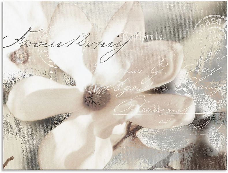 Artland Wandbild "Magnolie Detail" Blumenbilder 1 Stk. tlg. als Alubild, Le günstig online kaufen