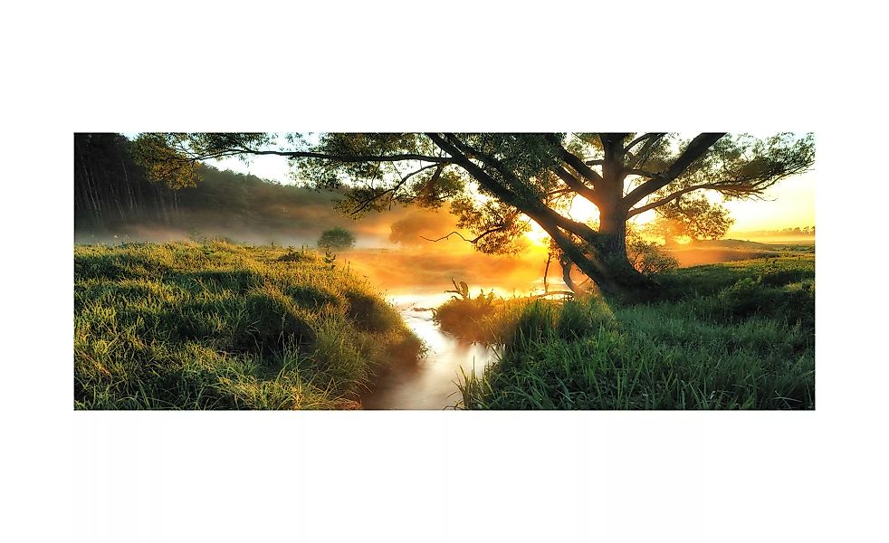Glasbild  Misty landscape II - 80 cm - 30 cm - Sconto günstig online kaufen