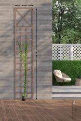 TPFLiving Rankhilfe Trifo, Rankgitter - Blumengitter günstig online kaufen