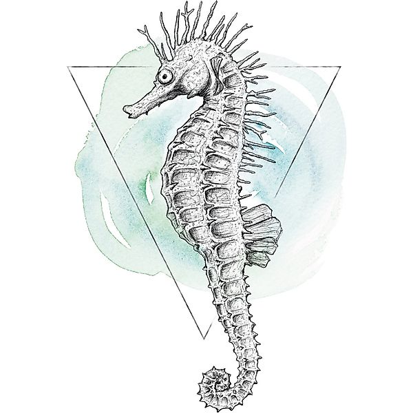 Komar Wandbild Sea Horse Watercolor 50 x 70 cm günstig online kaufen