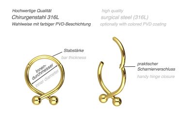PIERCINGLINE Nasenpiercing Chirurgenstahl Segmentring Clicker 2 günstig online kaufen