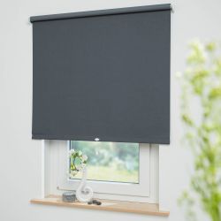Liedeco Springrollo »Uni« verdunkelnd mit Bohren freihängend Rollowelle 36 günstig online kaufen
