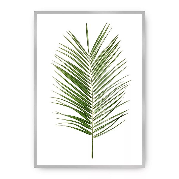 Poster Palm Leaf Green, 70 x 100 cm, Rahmen wählen: silber günstig online kaufen