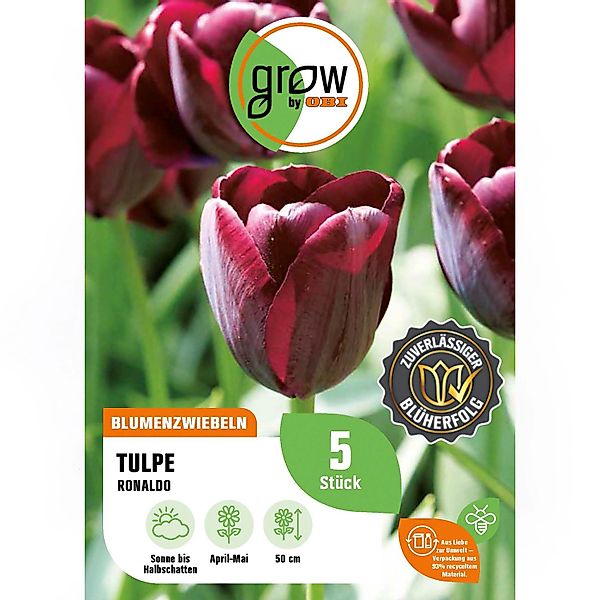 GROW by OBI Tulpe Ronaldo Rot 5 Stück Tulipa triumph Ronaldo günstig online kaufen