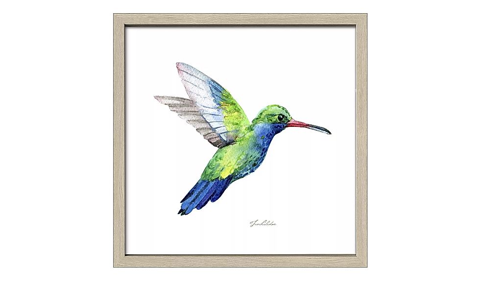 Gerahmtes Bild Slim-Scandic  Green Bird - 30 cm - 30 cm - Sconto günstig online kaufen