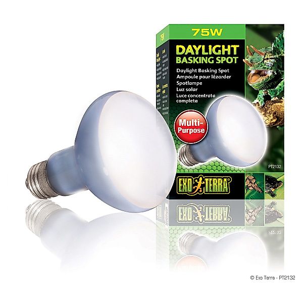 Exo Terra Terrarienleuchte Daylight Basking Spot günstig online kaufen