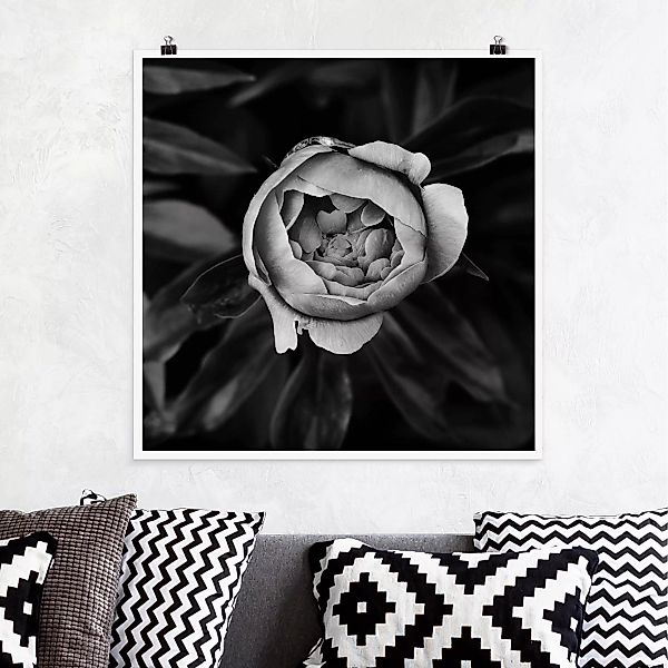 Poster - Quadrat Pfingstrosenblüte vor Blättern Schwarz Weiß günstig online kaufen