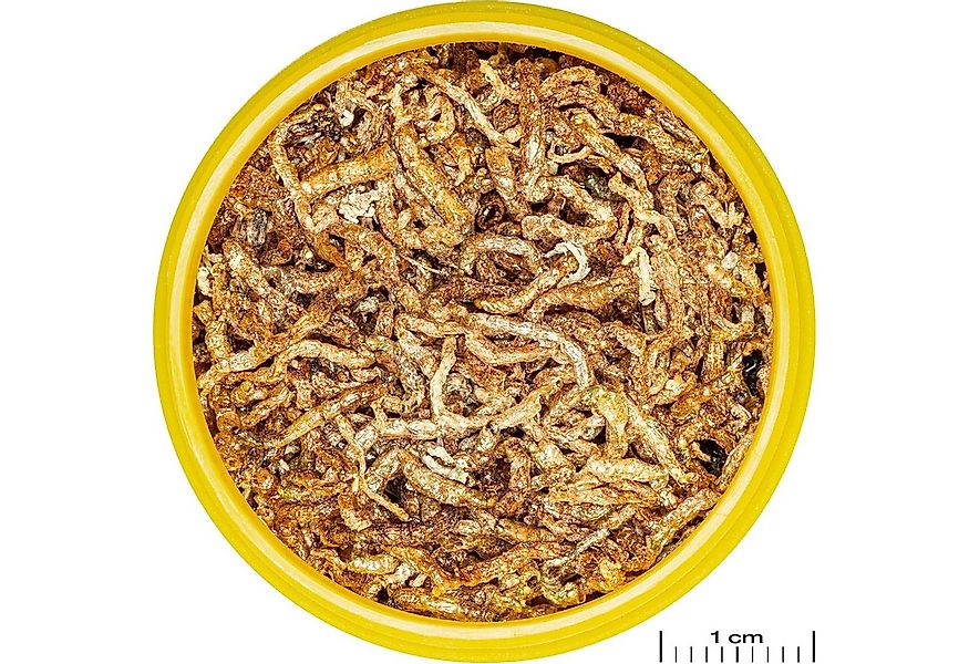 JBL GmbH & Co. KG Aquariendeko JBL Pronovo Fil Mückenlarven für alle Zierfi günstig online kaufen