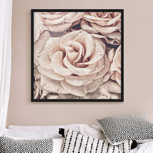 Bild mit Rahmen Blumen - Quadrat Rosen Sepia mit Wassertropfen günstig online kaufen