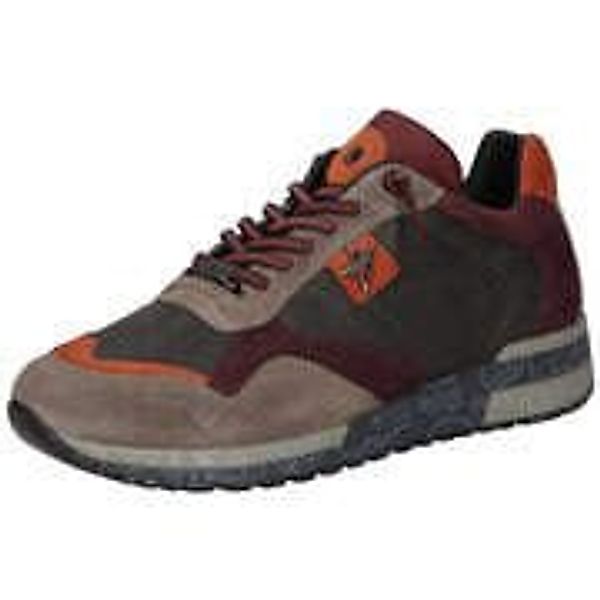 Cetti Sneaker Herren bunt|bunt|bunt|bunt|bunt günstig online kaufen