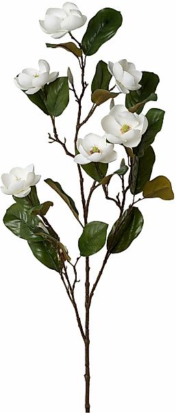 Creativ green Kunstblume "Magnolienzweig", mit zauberhaften Blüten günstig online kaufen