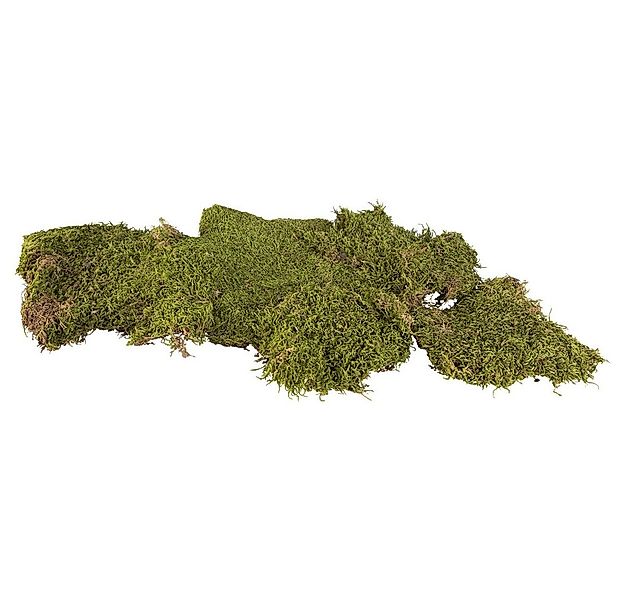 Koopmann Weihnachtsfigur Deko-Moos - 100 g günstig online kaufen