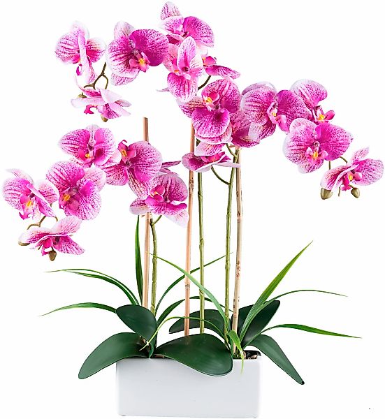 Creativ green Kunstorchidee "Orchidee Phalaenopsis", mit Graszweigen arrang günstig online kaufen