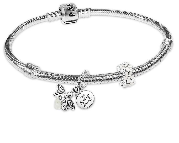 Pandora Charm-Armband Damenarmband Silber Geschenk-Set Glühwürmchen und Gän günstig online kaufen