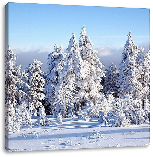 Pixxprint Leinwandbild Winterwald, Winterwald (1 St), günstig online kaufen