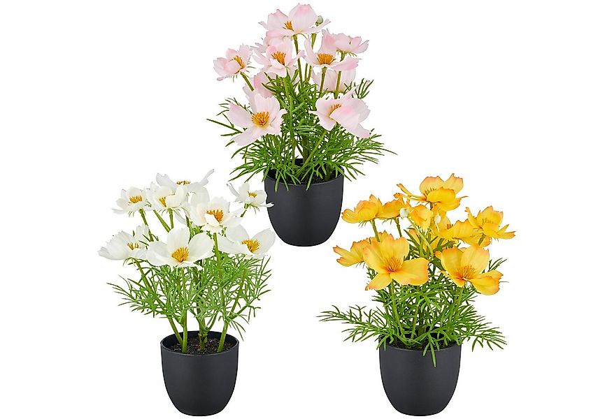 Kunstpflanze Cosmea, Creativ green, Höhe 22 cm, mit farbenfrohen Blüten günstig online kaufen