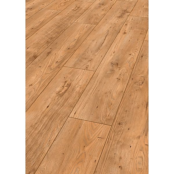 Jangal Laminatboden Chestnut Island Line Pro Mota günstig online kaufen