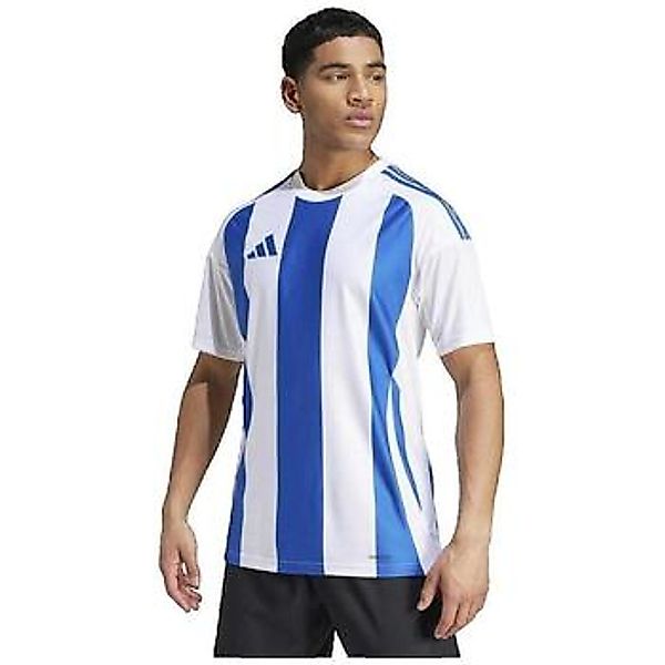 adidas  Badeanzug Striped 24 Player günstig online kaufen