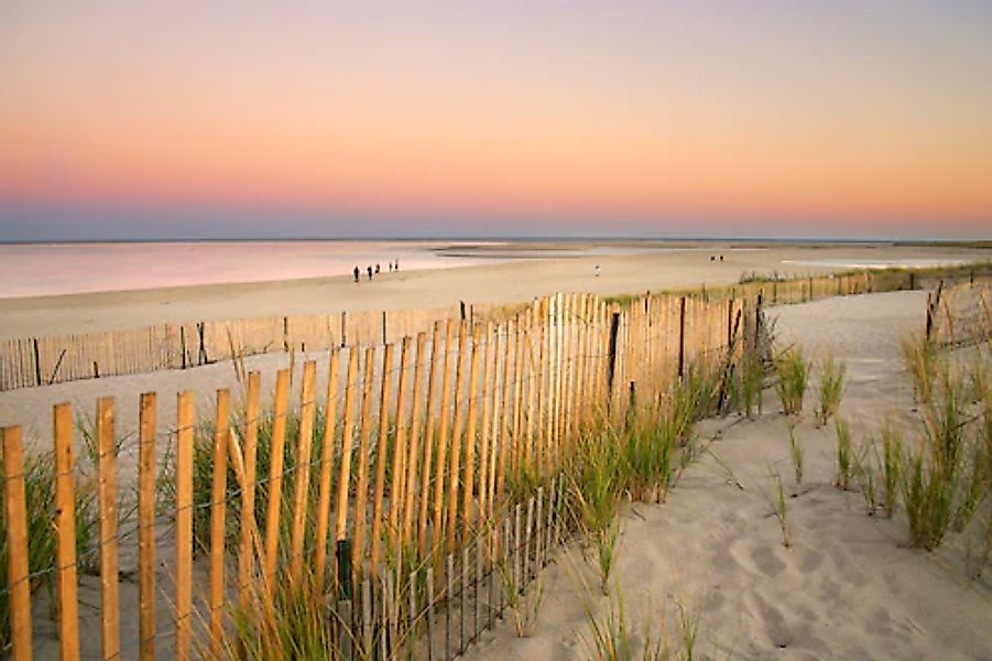 Papermoon Fototapete »Dunes Cape Cod« günstig online kaufen