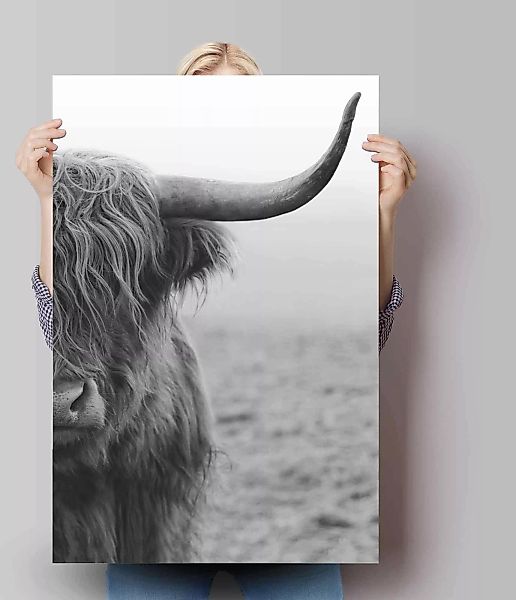 Reinders Poster "Poster Highlander Bulle", Kuh, (1 St.) günstig online kaufen