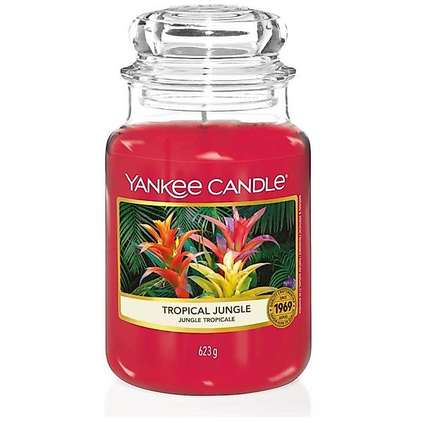 Yankee Candle Duftkerze günstig online kaufen