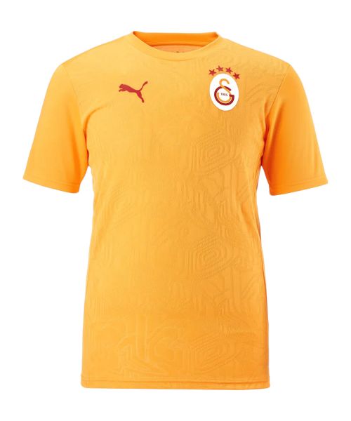 PUMA T-Shirt PUMA Galatasaray Istanbul Training günstig online kaufen