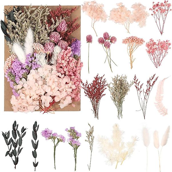 Trockenblume 100% Natürliche getrocknte Blumen, DIY günstig online kaufen
