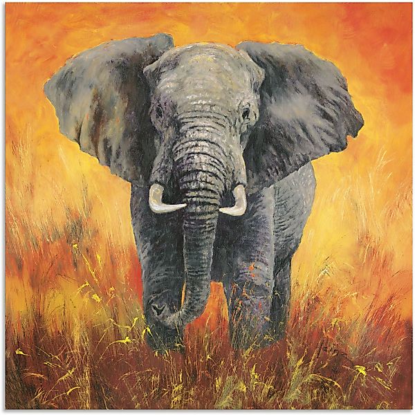 Artland Wandbild »Porträt Elefant«, Elefanten Bilder, (1 St.), als Alubild, günstig online kaufen