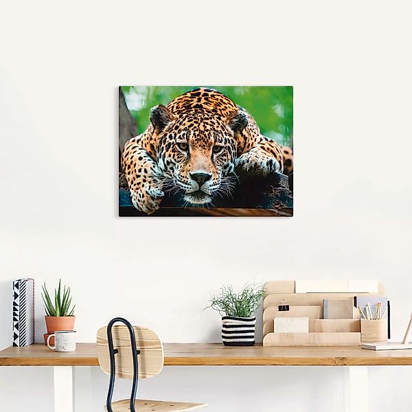 Artland Wandbild "Südamerikanischer Jaguar", Wildtiere, (1 St.), als Alubil günstig online kaufen