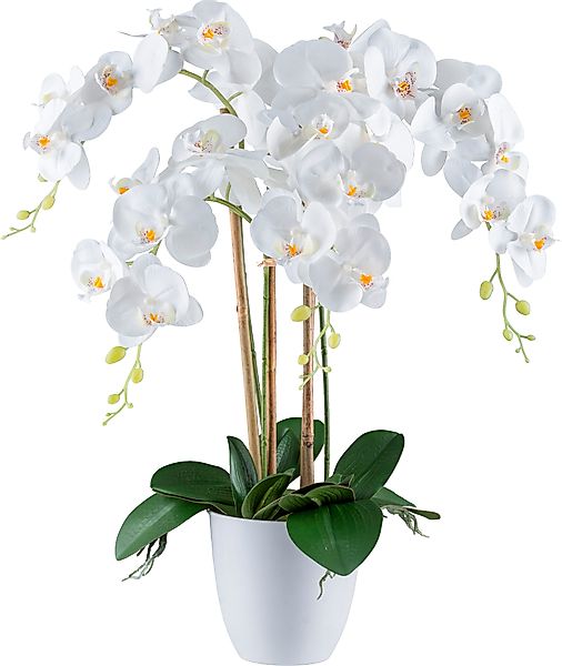 Kunstorchidee Orchidee Phalaenopsis, Creativ green, Höhe günstig online kaufen