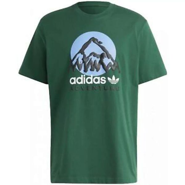 adidas  T-Shirt T-shirt Uomo  ic2360adv_mountain_tee_verde günstig online kaufen