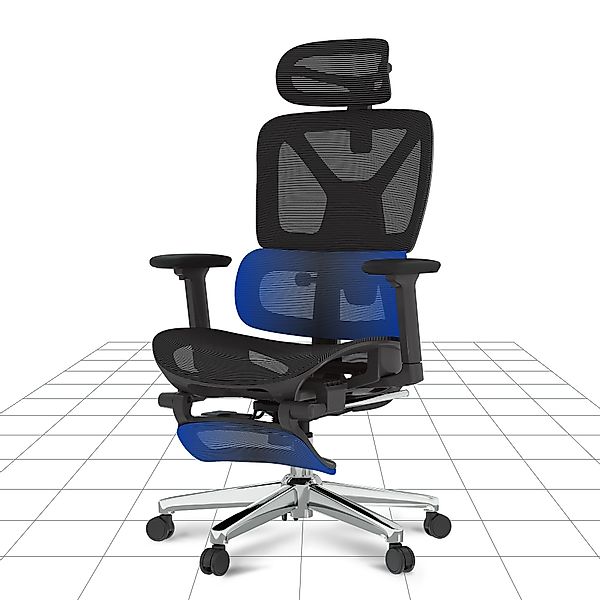 FLEXISPOT Bürostuhl Schreibtischstuhl Premium Ergonomischer (Rückenlehne günstig online kaufen