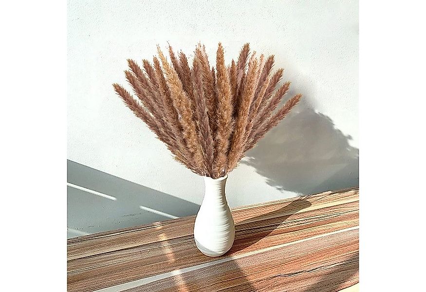 Trockenblume Trockenpflanzen, Pampasgras getrocknet, Schilfgras Deko 30 Stü günstig online kaufen