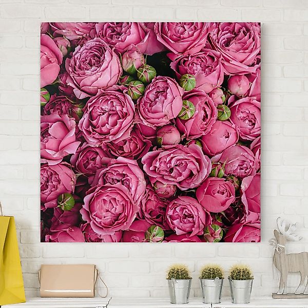 Leinwandbild Blumen - Quadrat Pinke Pfingstrosen günstig online kaufen