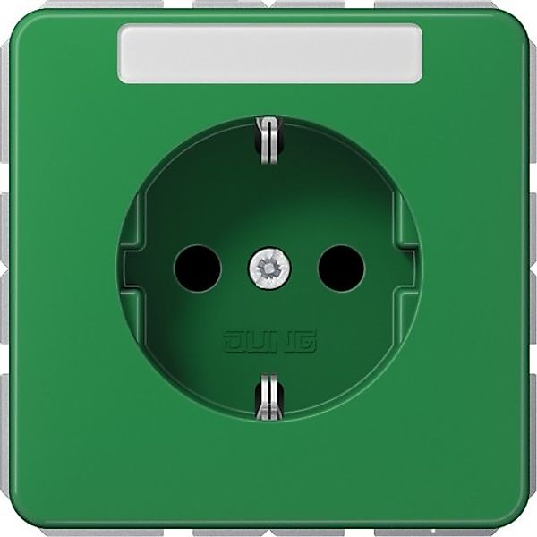 Jung SCHUKO-Steckdose 16A 250V mit Schriftfeld CD 1520 BFNA GN - CD1520BFNA günstig online kaufen