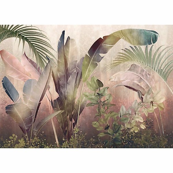 Komar Vliestapete Rainforest Mist  350 x 250 cm günstig online kaufen