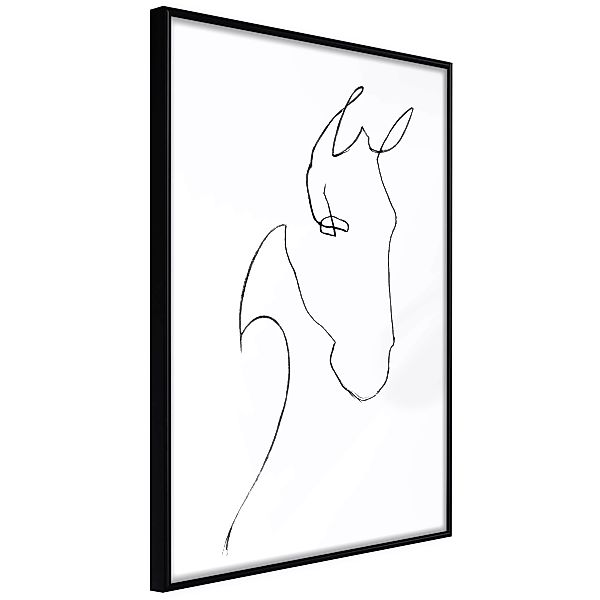 Poster - Sketch Of A Horse's Head günstig online kaufen
