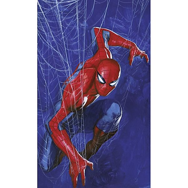 Komar Vlies Fototapete Marvel Spider-Man Spider Web Blau-Rot günstig online kaufen