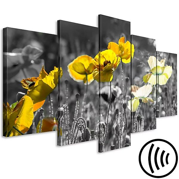 Leinwandbild Yellow Poppies (5 Parts) Wide XXL günstig online kaufen
