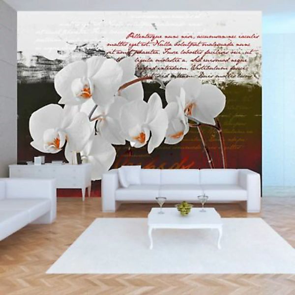 artgeist Fototapete Diary and orchid mehrfarbig Gr. 250 x 175 günstig online kaufen