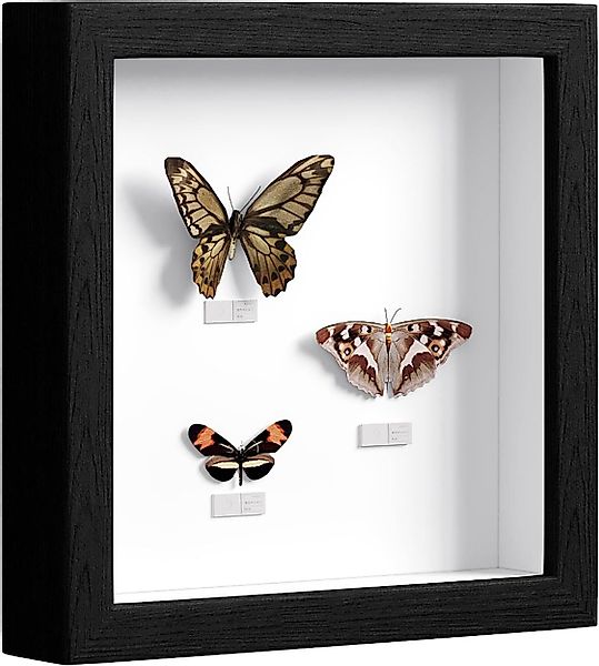 EUGAD Bilderrahmen, (1 St), 3D Fotorahmen, günstig online kaufen